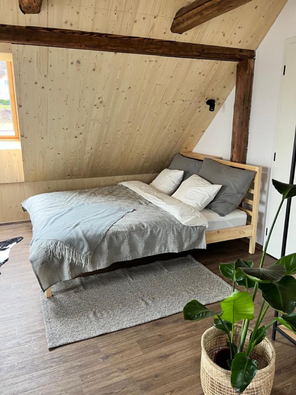 Sanky Apartmany Liberec Dış mekan fotoğraf